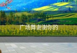 广场舞谢谢你的