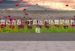 舞动青春：丁真版广场舞简易教程