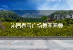 沁园春雪广场舞圈圈舞