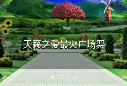 天籁之爱最火广场舞