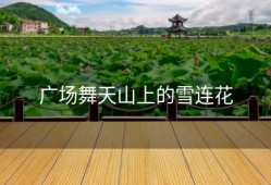 广场舞天山上的雪连花