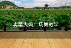 卖菜大妈广场舞教学