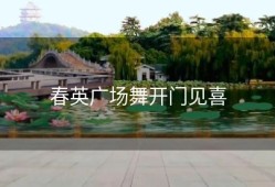 春英广场舞开门见喜