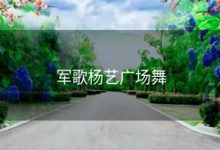 军歌杨艺广场舞
