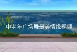 中老年广场舞最美情缘视频