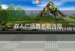 双人广场舞老歌连唱