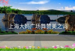 上海大妈广场舞赞美之词