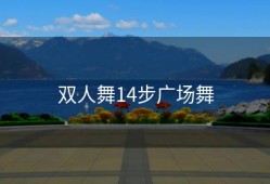 双人舞14步广场舞