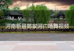 河南新县郭家河广场舞视频