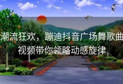 潮流狂欢，蹦迪抖音广场舞歌曲视频带你领略动感旋律