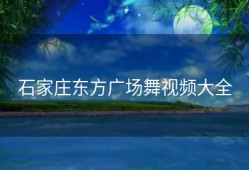 石家庄东方广场舞视频大全