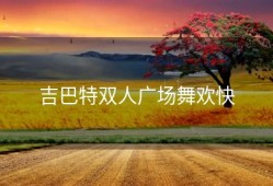 吉巴特双人广场舞欢快