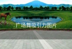 广场舞吸引力图片
