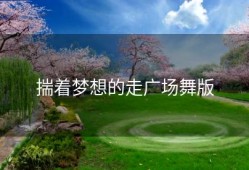 揣着梦想的走广场舞版