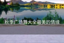 秋季广场舞大全最美的情缘