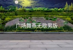 广场舞燕无歇男版