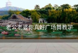 老公老婆你真好广场舞教学