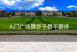 入门广场舞步子舞不要停