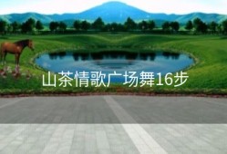 山茶情歌广场舞16步