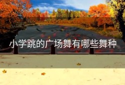 小学跳的广场舞有哪些舞种