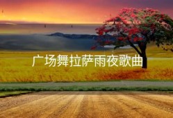 广场舞拉萨雨夜歌曲
