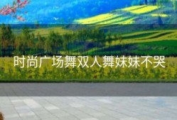 时尚广场舞双人舞妹妹不哭