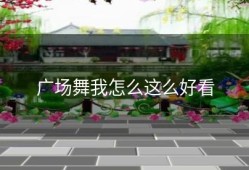 广场舞我怎么这么好看
