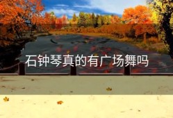 石钟琴真的有广场舞吗