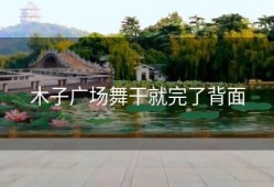 木子广场舞干就完了背面