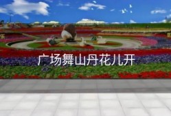 广场舞山丹花儿开