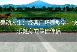 舞动人生：经典广场舞教学，快乐健身的最佳伴侣