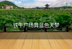 铁牛广场舞蓝色天梦