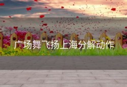 广场舞飞扬上海分解动作