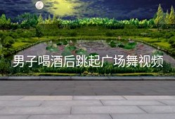 男子喝酒后跳起广场舞视频