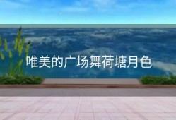 唯美的广场舞荷塘月色