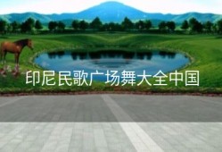 印尼民歌广场舞大全中国