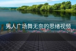 男人广场舞无奈的思绪视频