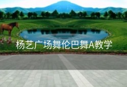 杨艺广场舞伦巴舞A教学