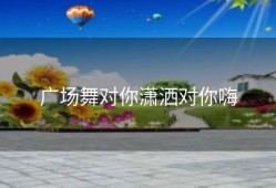 广场舞对你潇洒对你嗨