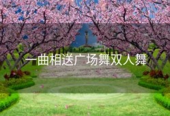 一曲相送广场舞双人舞