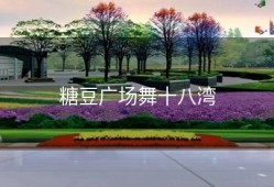 糖豆广场舞十八湾