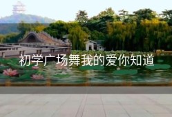 初学广场舞我的爱你知道