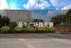 最牛广场舞夫妻