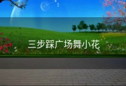 三步踩广场舞小花