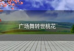 广场舞转世桃花