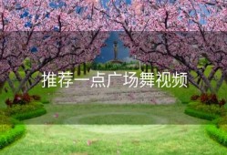 推荐一点广场舞视频