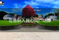 花香醉入我心间广场舞