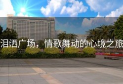 泪洒广场，情歌舞动的心境之旅