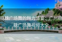 糖糖广场舞的魅力盛宴：广州糖糖广场舞视频大全