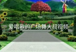 爱唱歌的广场舞大叔视频